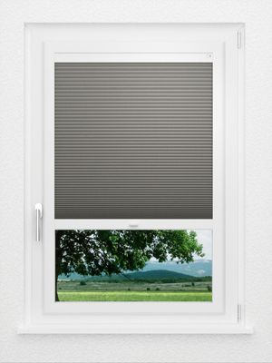 Preview LYSEL HOME Plissee 020A Calluna Wabe 1