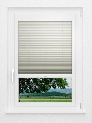 Preview LYSEL HOME Plissee 212B Aralia Pearl 1