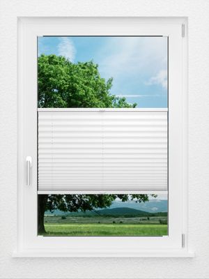 Preview LYSEL HOME Plissee 205B Aralia 0