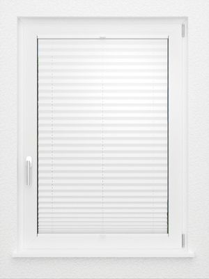 Preview LYSEL HOME Plissee 205B Aralia 2