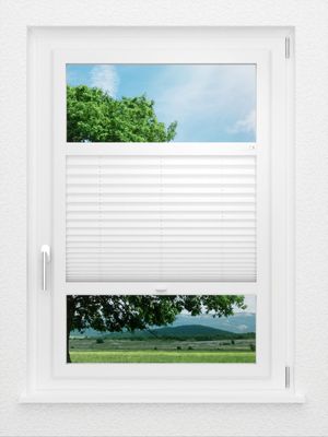 Preview LYSEL HOME Plissee 205B Aralia 0