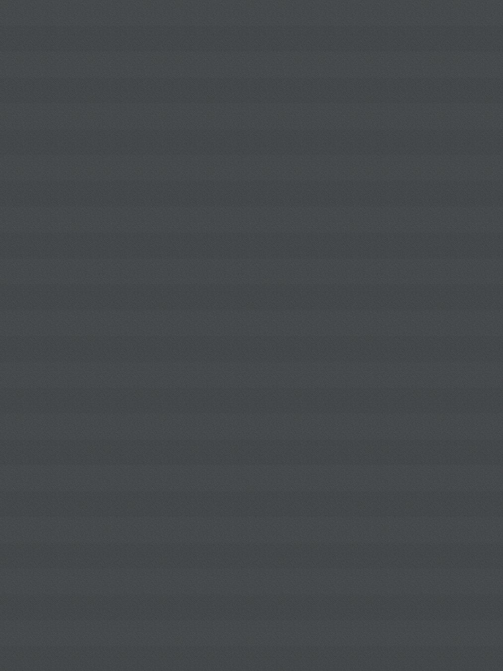 Detailansicht LYSEL HOME Plissee 116A Pinus BO