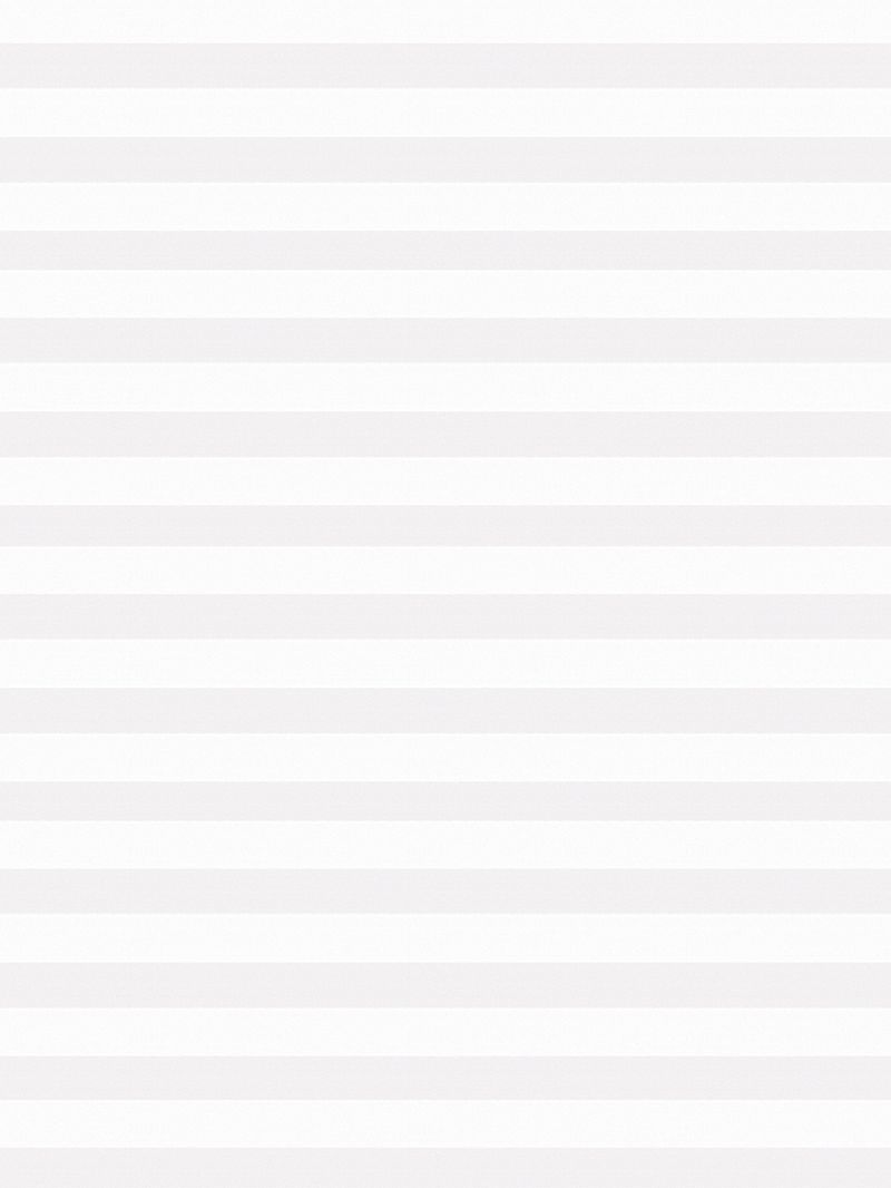 Preview LYSEL HOME Plissee 205A Aralia 4
