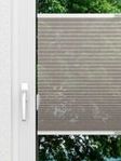 Rough Comb SCL 6201.3576 Fensteransicht