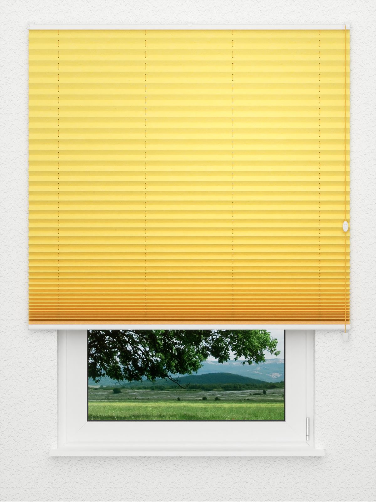 Detailansicht Plissee Crush 2021.1905