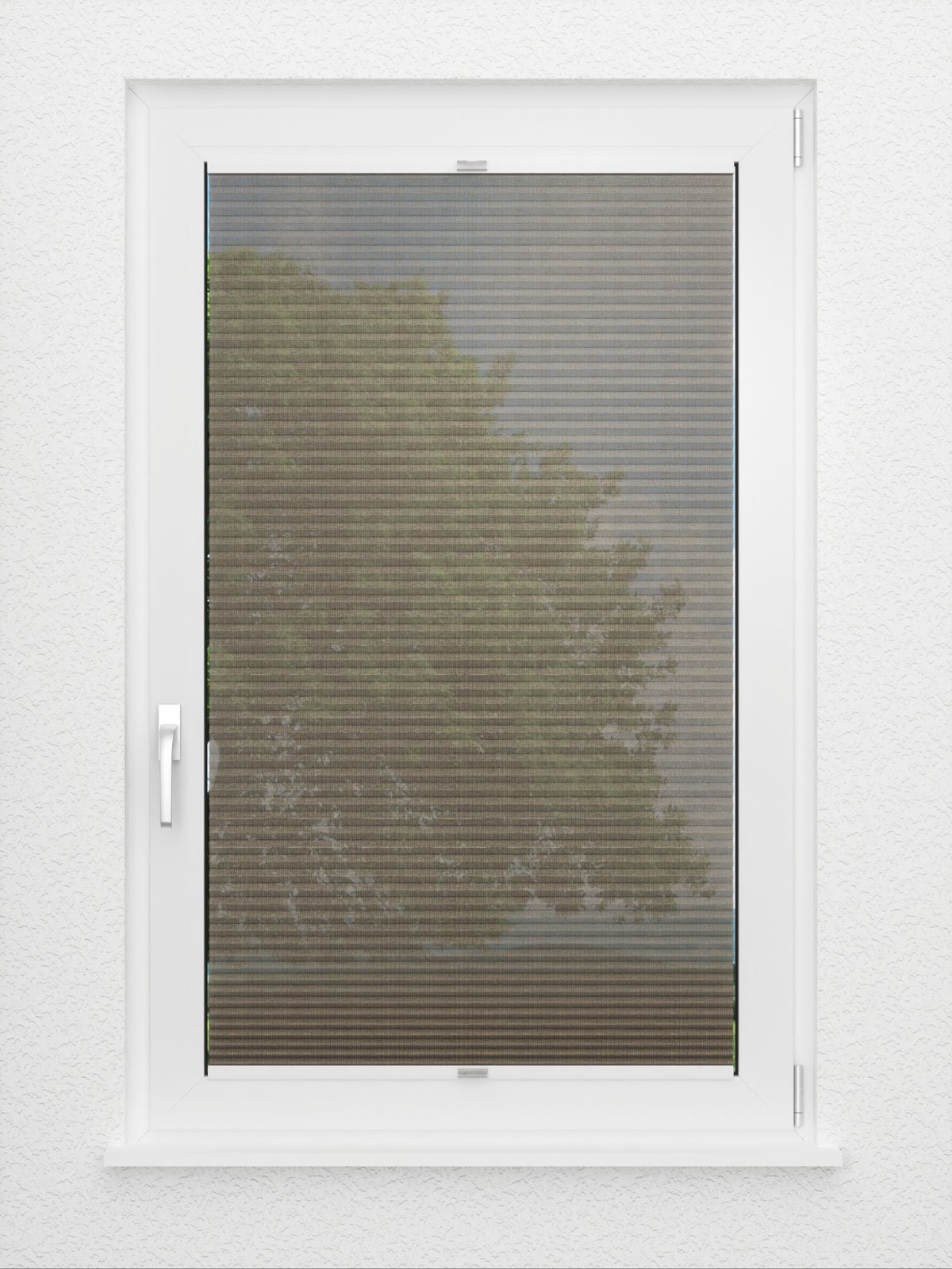 Detailansicht Rough Comb SCL 6402.3578