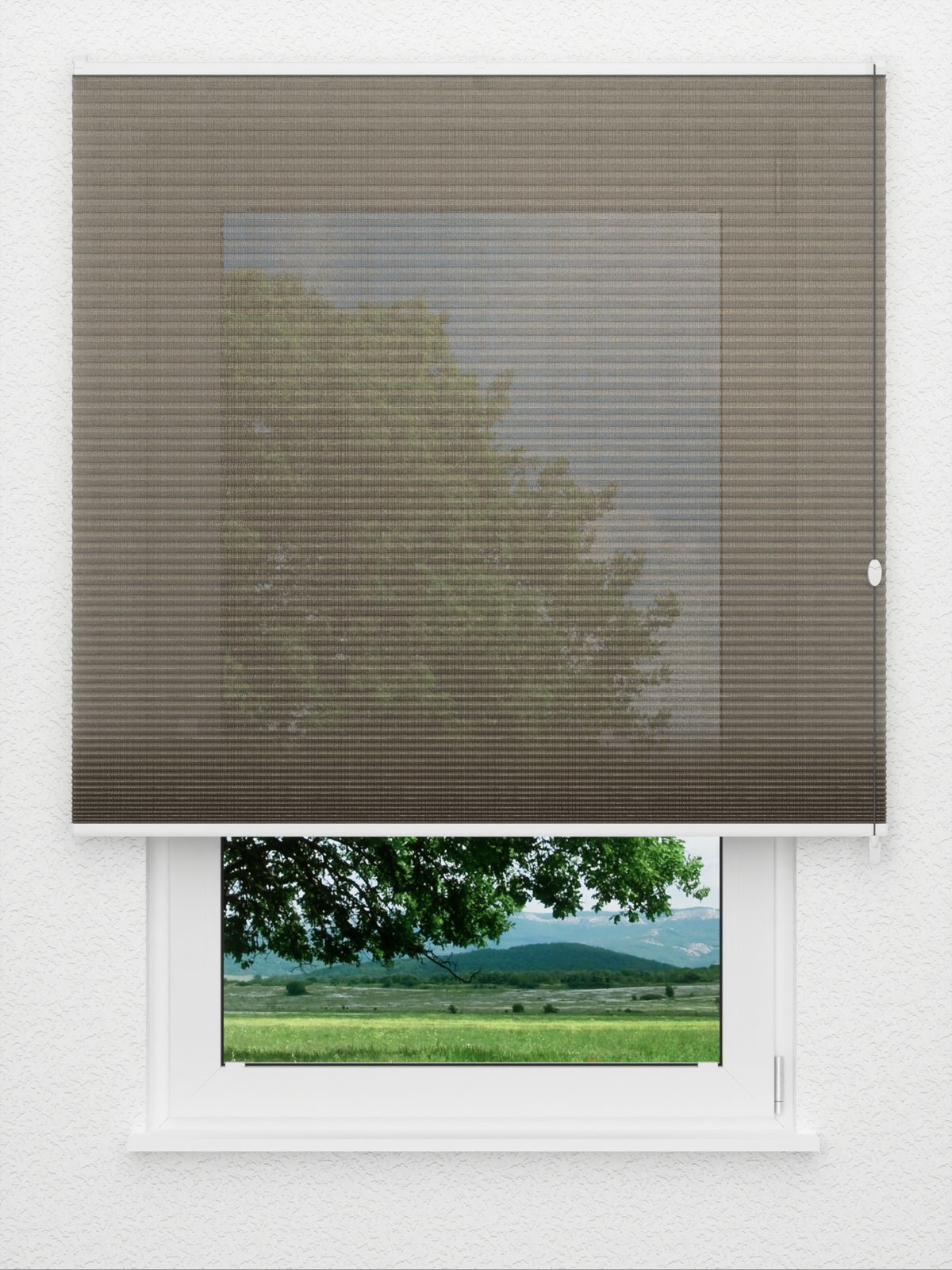 Detailansicht Rough Comb SCL 6402.3578