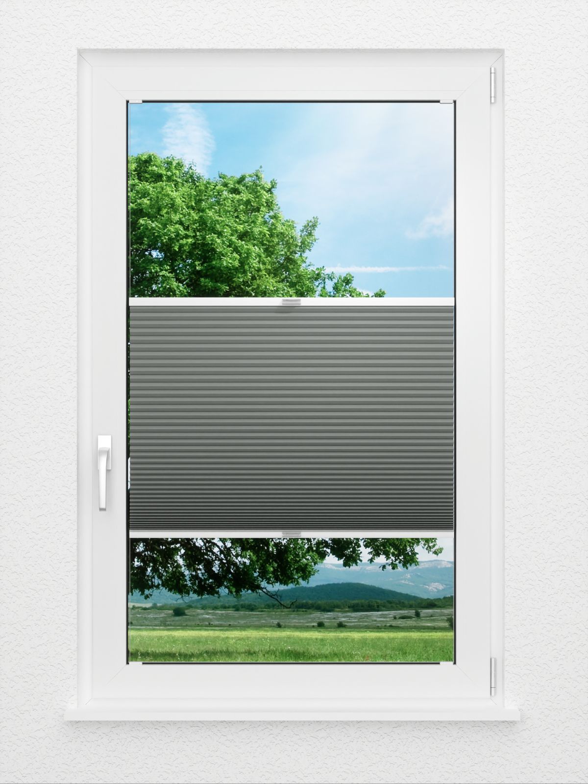 Detailansicht Straight Comb BO 9209.3617