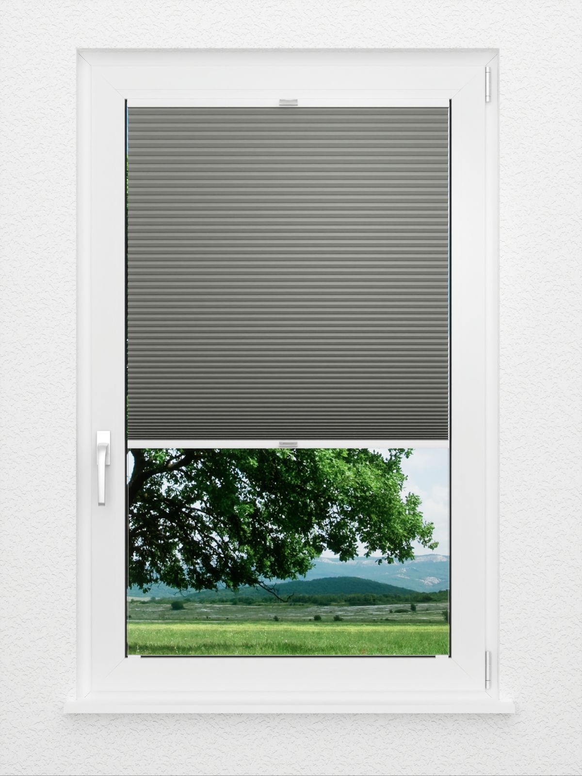 Detailansicht Straight Comb BO 9209.2621