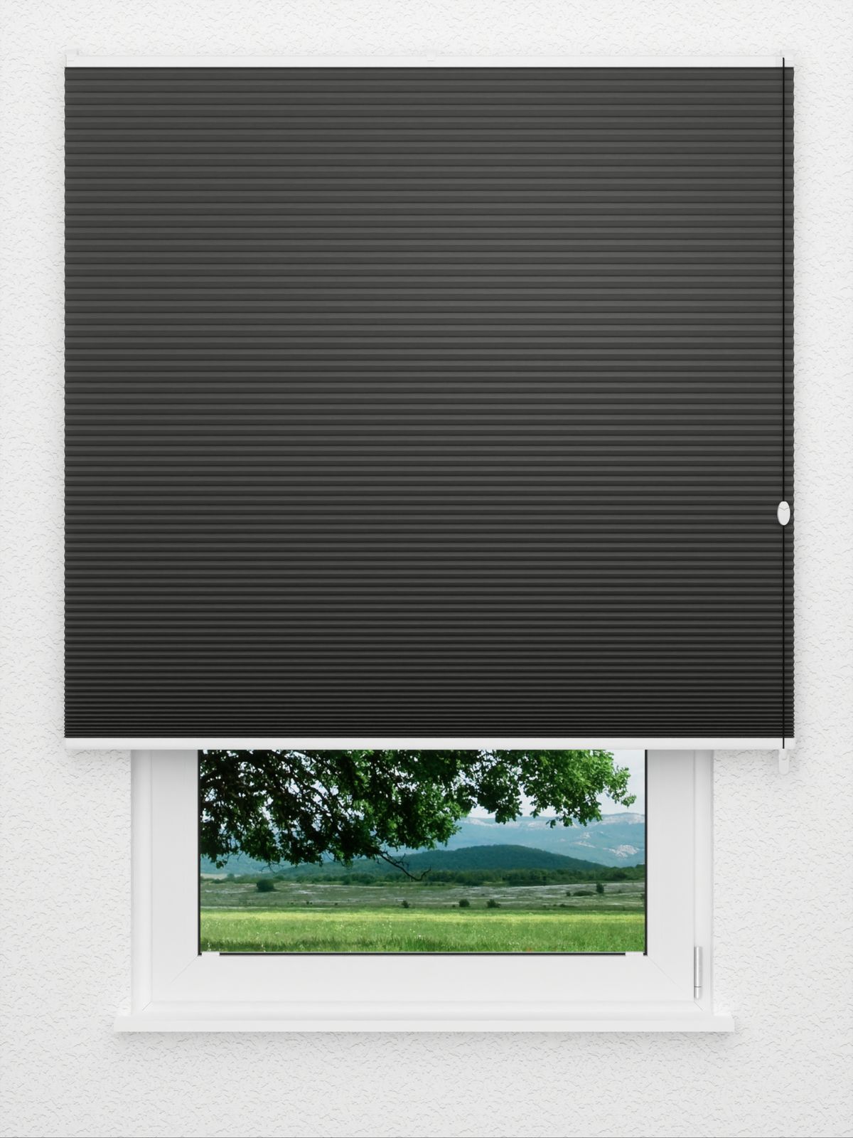 Detailansicht Straight Comb BO 9209.3623