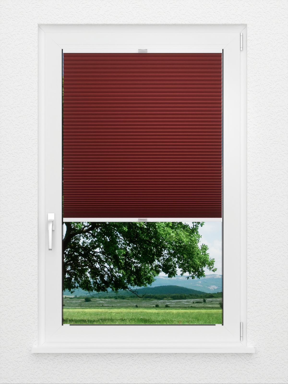 Detailansicht Simple Comb SC 7104.3595