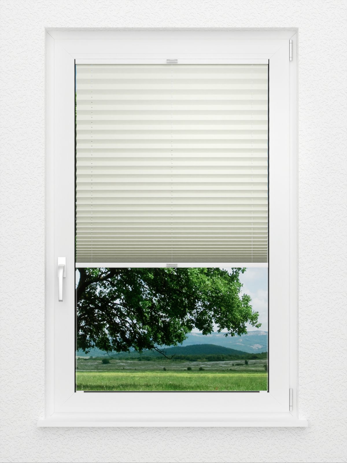 Detailansicht Plissee Cotton 3801.0118