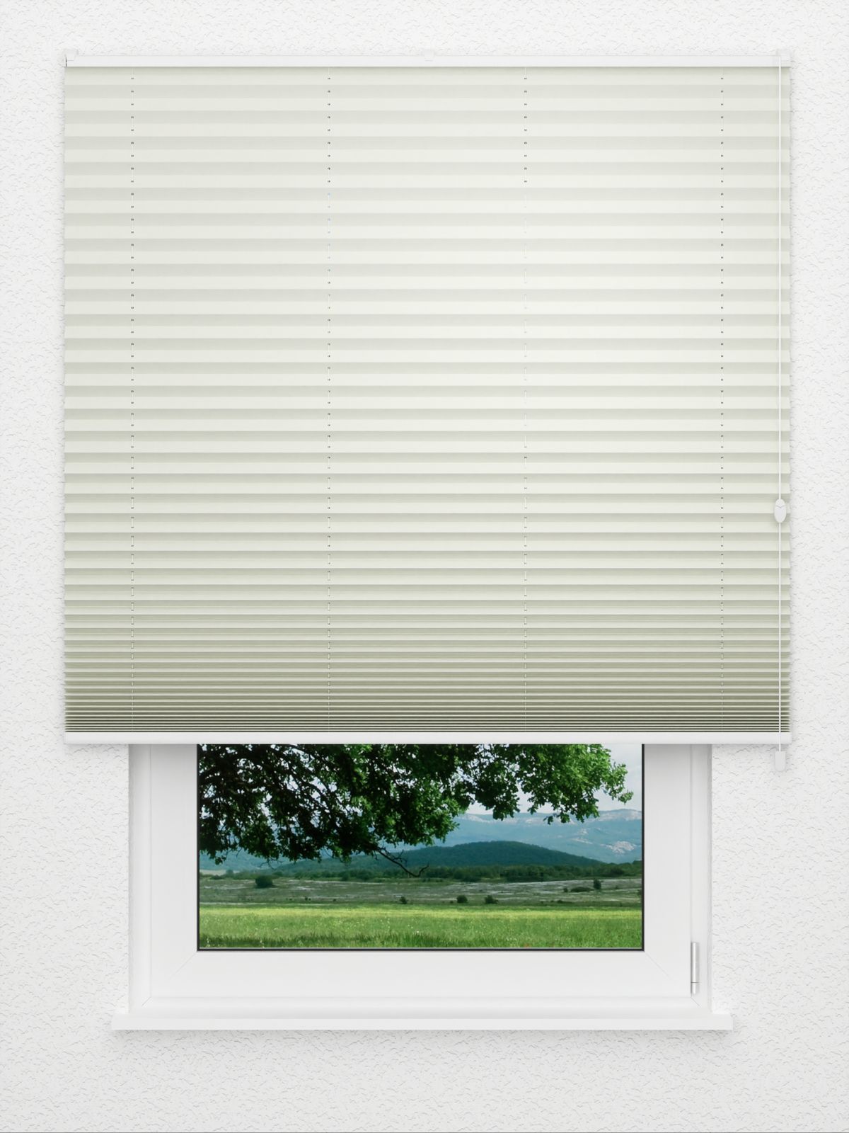 Detailansicht Plissee Cotton 3801.0118
