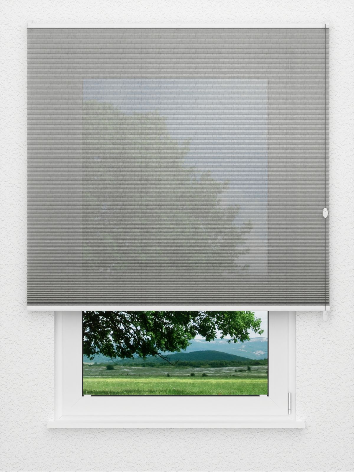 Detailansicht Jolty Comb SCL 6409.3641