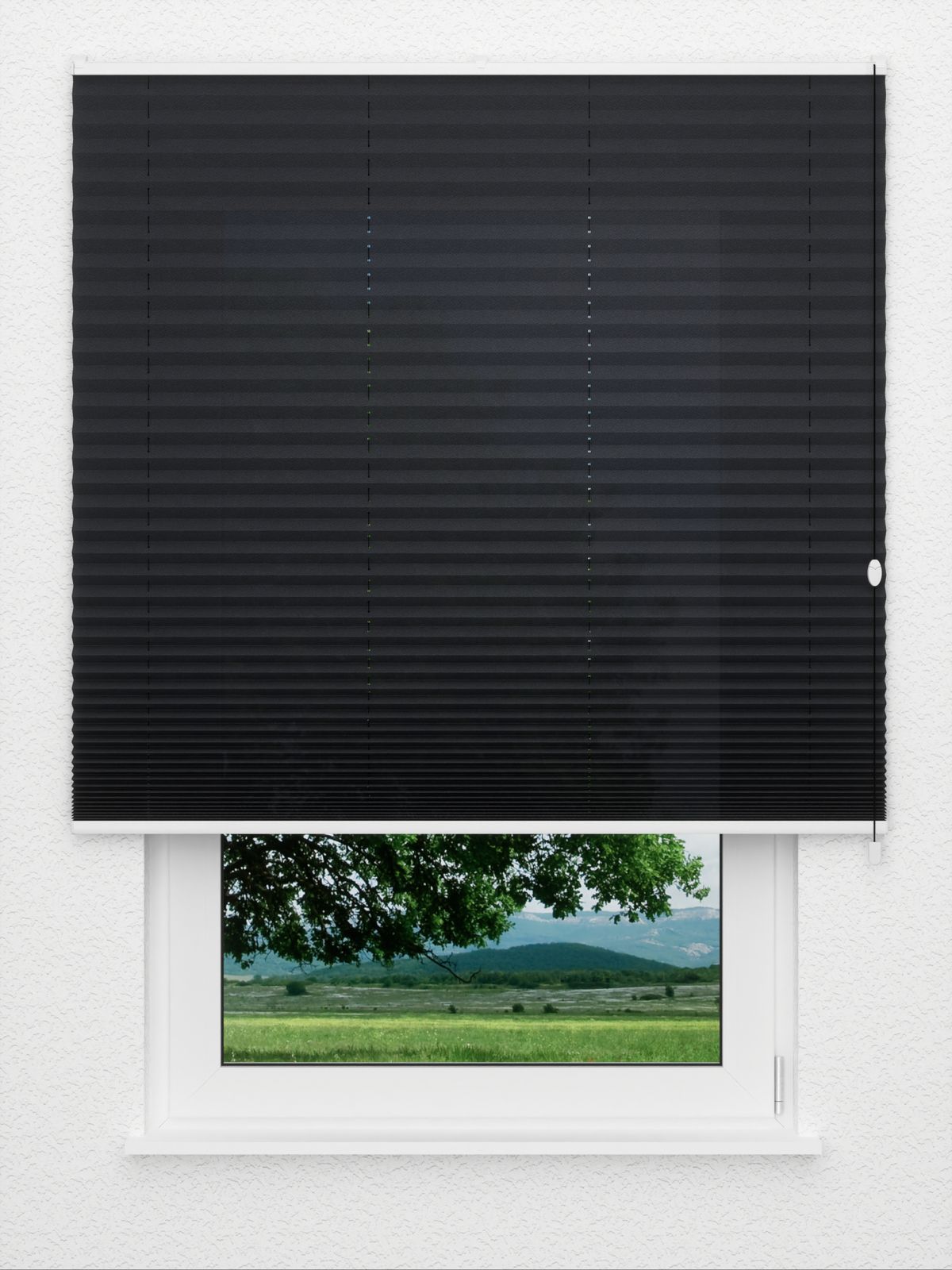 Detailansicht Plissee Kreppa 1309.1266