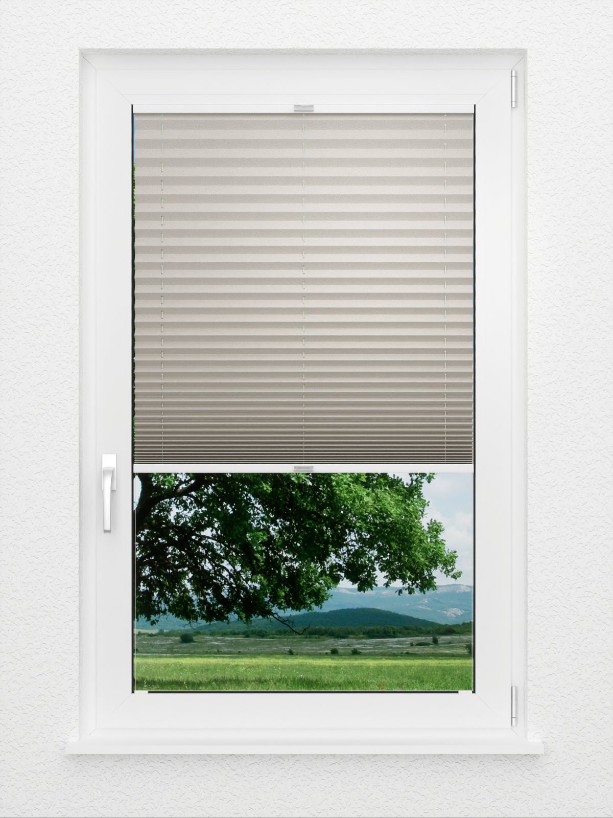 Detailansicht Plissee Kreppa Perlex 1609.1559