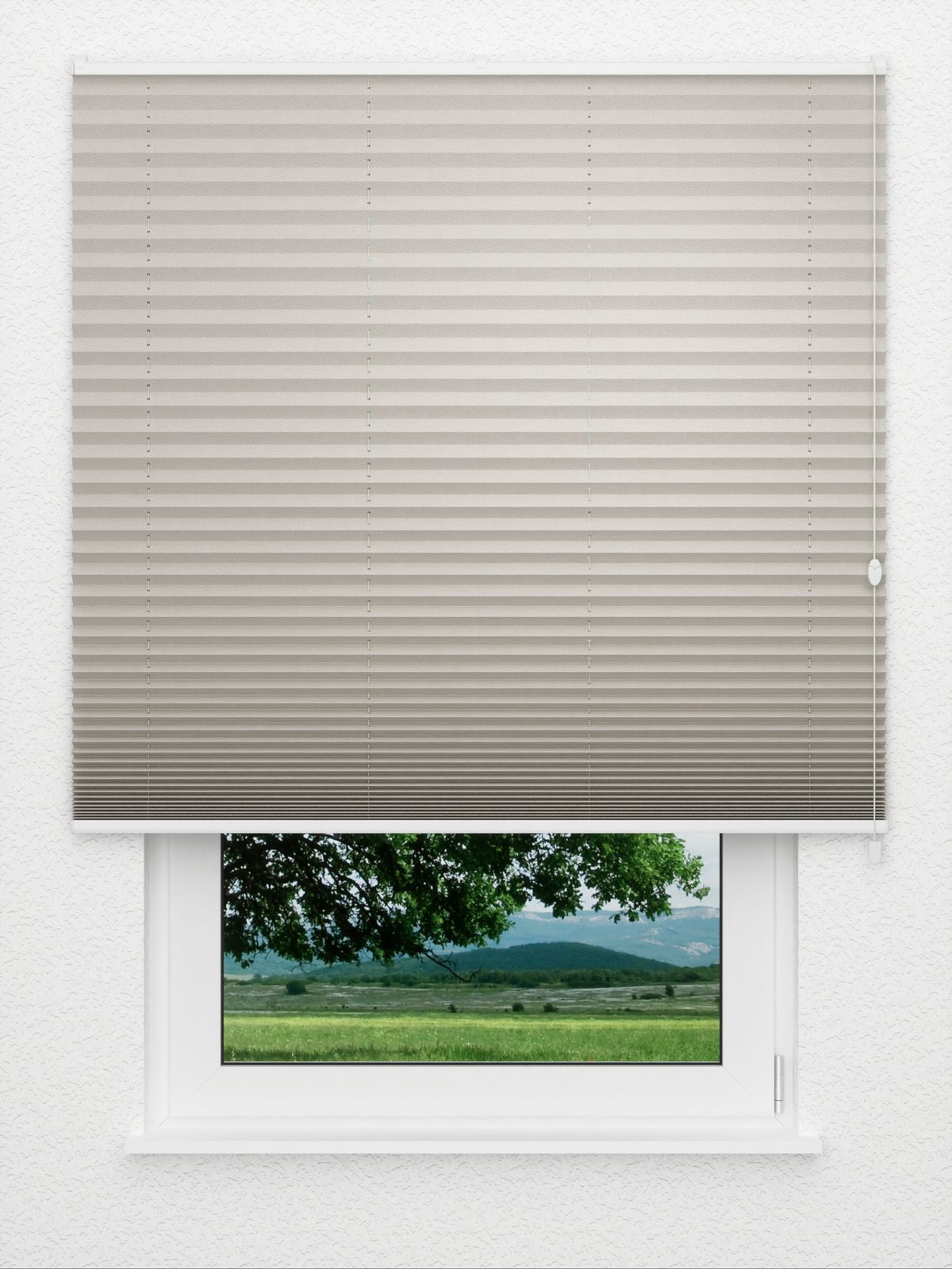 Detailansicht Plissee Kreppa Perlex 1609.1559