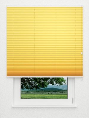 Preview Plissee Crush 2021.1905 3