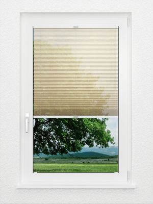 Preview Plissee Sensibile 7901.6253 1