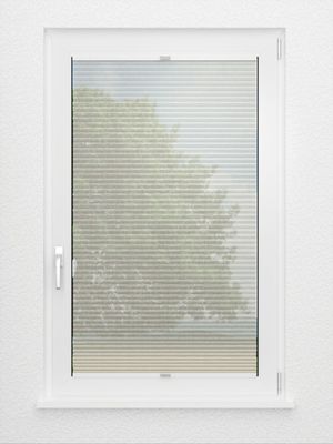 Preview Rough Comb SCL 6101.3575 2