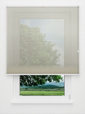 Preview Rough Comb SCL 6101.3575 1