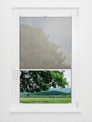 Preview Rough Comb SCL 6201.3576 1