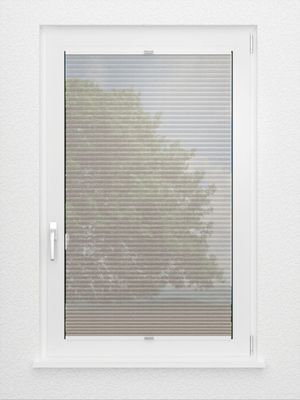 Preview Rough Comb SCL 6201.3576 2