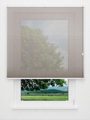 Preview Rough Comb SCL 6201.3576 3