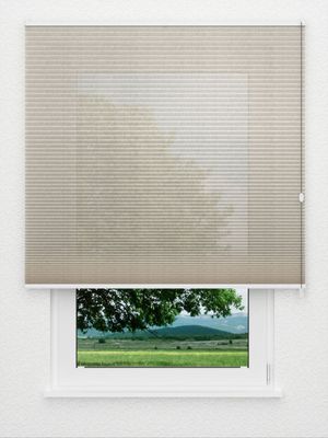 Preview Jolty Comb SCL 6101.3638 3