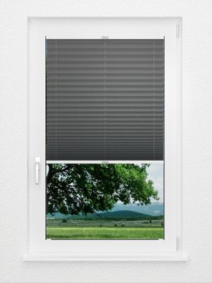 Preview Plissee Krepp B1 1009.0163 1