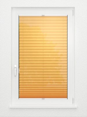 Preview Plissee Empty 5416.9754 2