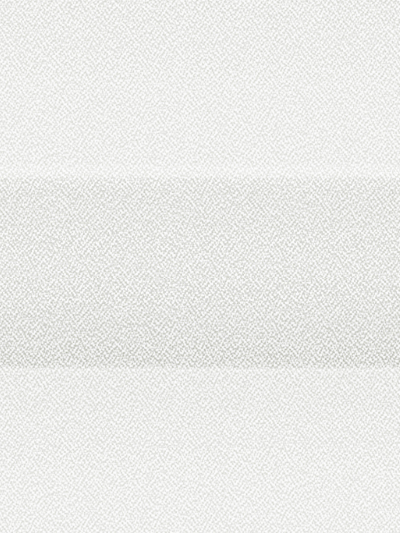 Plissee Krepp B1 1009.0161 Detailansicht