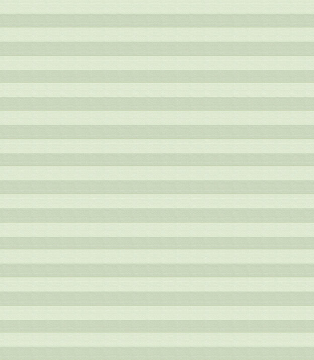 Detailansicht Plissee Green Light 5106.5040