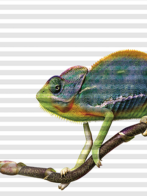 Preview DUETTE® Acosta 12.449 0