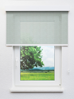 Preview Algieba 802973L 0