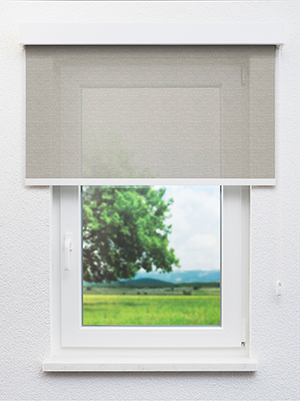 Preview Algieba 802974L 0