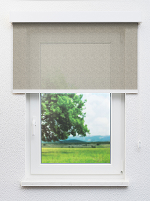 Preview Algieba 702975L 0