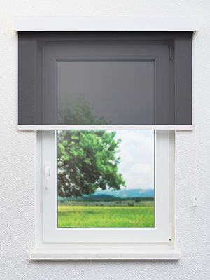 Preview Balingen 40.558e 0