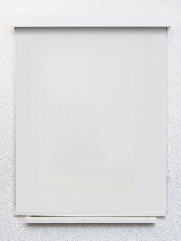 Detailansicht Clingen 00.040e