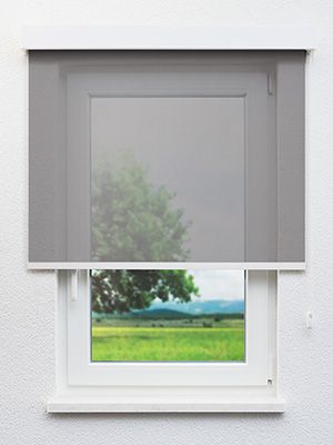 Ebern 20.284e Fensteransicht