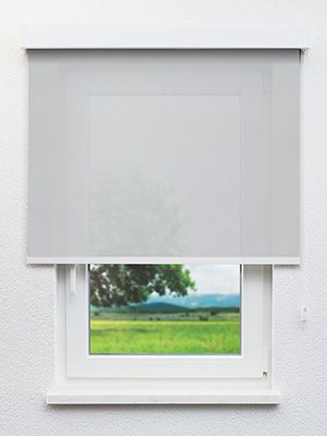 Rhön 00.606e Fensteransicht