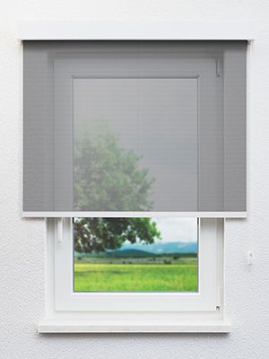 Dassow 30.028e Fensteransicht