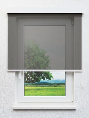Dassow 40.028e Fensteransicht
