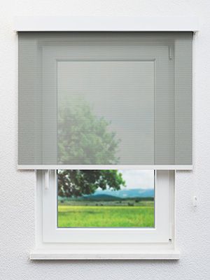 Dassow 17.028e Fensteransicht
