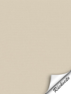 Preview Braubach 91.603e 3