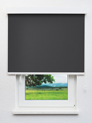 Stoff Rollo Maßanfertigung Genthin 40.078e