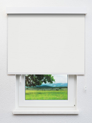 Stoff Rollo Maßanfertigung Genthin 12.078e