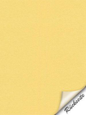 Stoff Rollo Maßanfertigung Geldern 42.178e