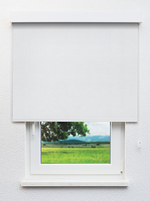 Stoff Rollo Maßanfertigung Gelsenkirchen 10.278e