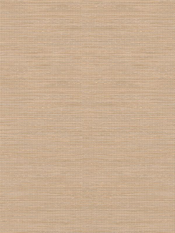 Detailansicht Dargun 00.951e